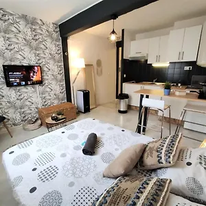 Le Jasmin Des Carmes - Hypercentre - Netflix Appartement Toulouse